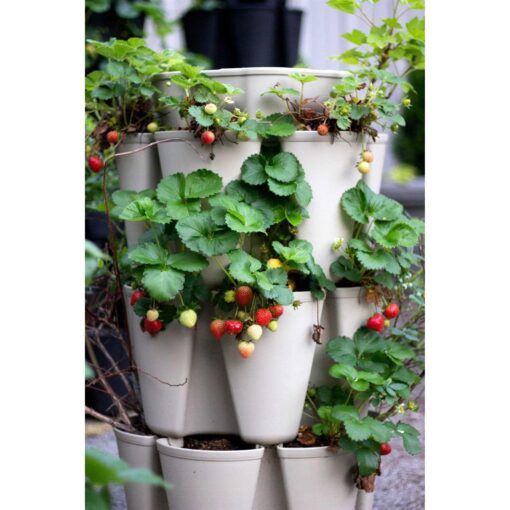 GreenStalk Patented Large 5 Tier Vertical Garden Planter with Patented Internal Watering System Great for Growing a Variety of Strawberries - Image 5