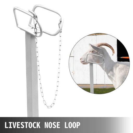 VEVOR Livestock Stand Trimming Stand 51×23 inches Livestock Trimming Stands for Goats YYZJJSCDLZ - Image 3