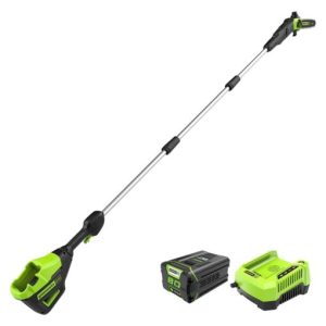 Greenworks 1405802 Pole Saw