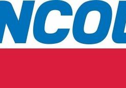 Lincoln 917 High Pressure 50:1 Pneumatic Air Operated 120 lb. Drum Barrel Pump - Image 6