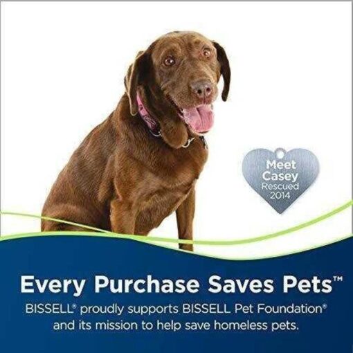Crosswave Pet Pro All in One Wet Dry Vacuum Cleaner and Mop for Hard Floors and Area Rugs, 2306A - Image 6
